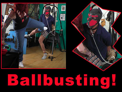 cbt Ballbusting with tennis shoes